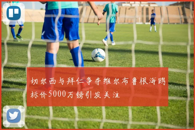 切尔西与拜仁争夺维尔布鲁根海鸥标价5000万镑引发关注