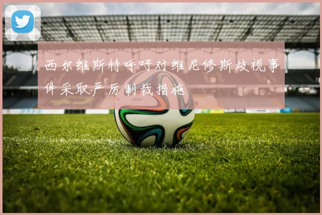 西尔维斯特呼吁对维尼修斯歧视事件采取严厉制裁措施